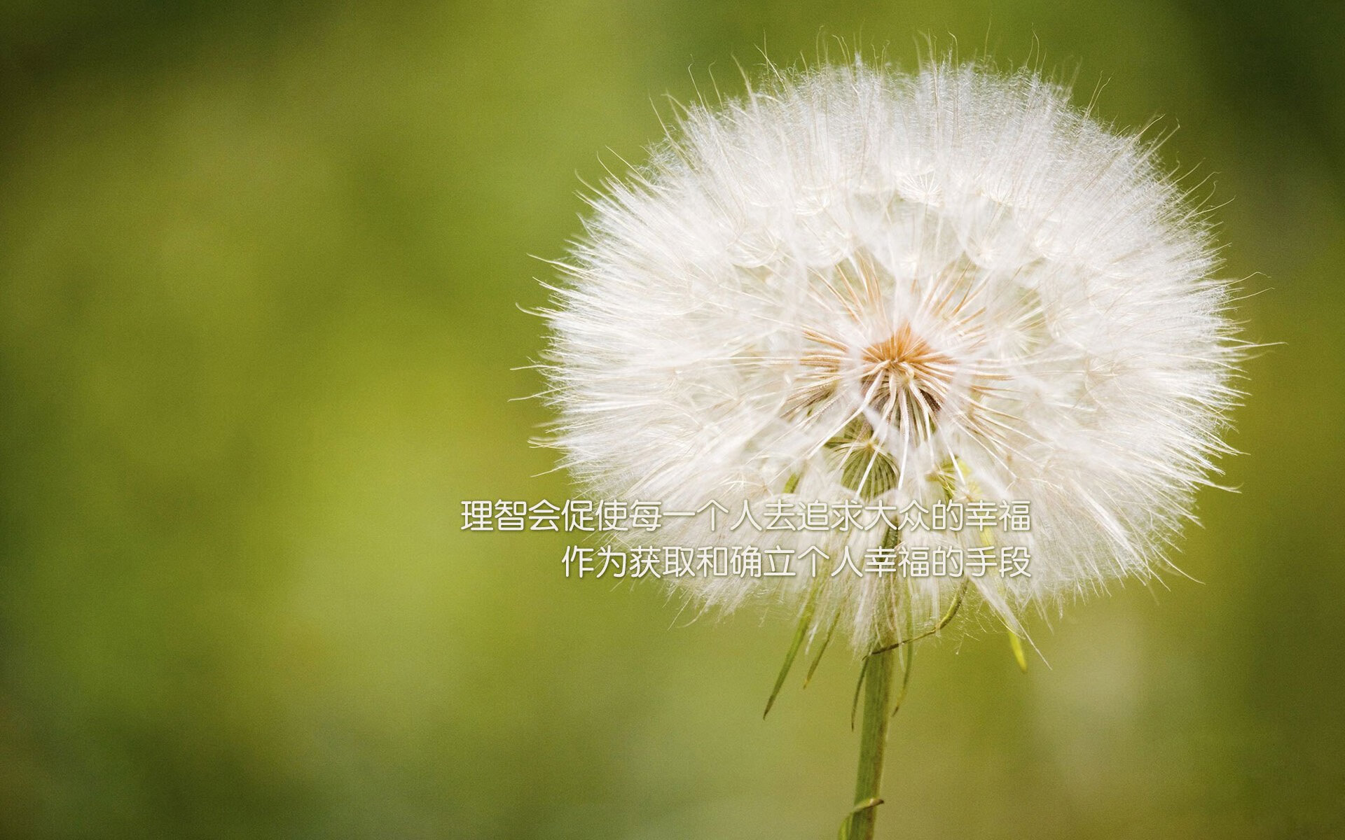 搅翻塞维利亚,土耳其新军一飞冲天!卡拉斯科一锤定音,欧战格局生变?